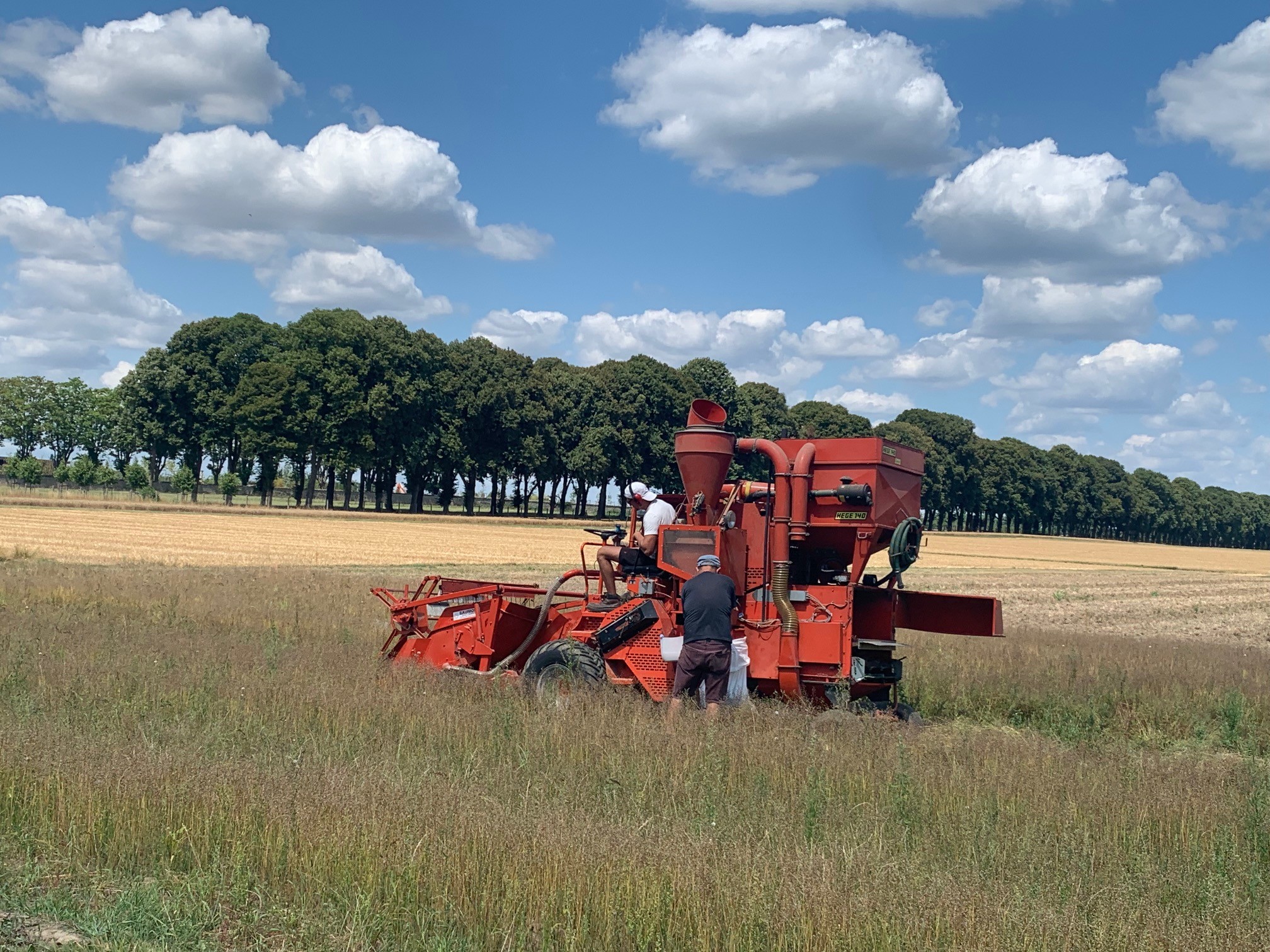récolte cameline versailles