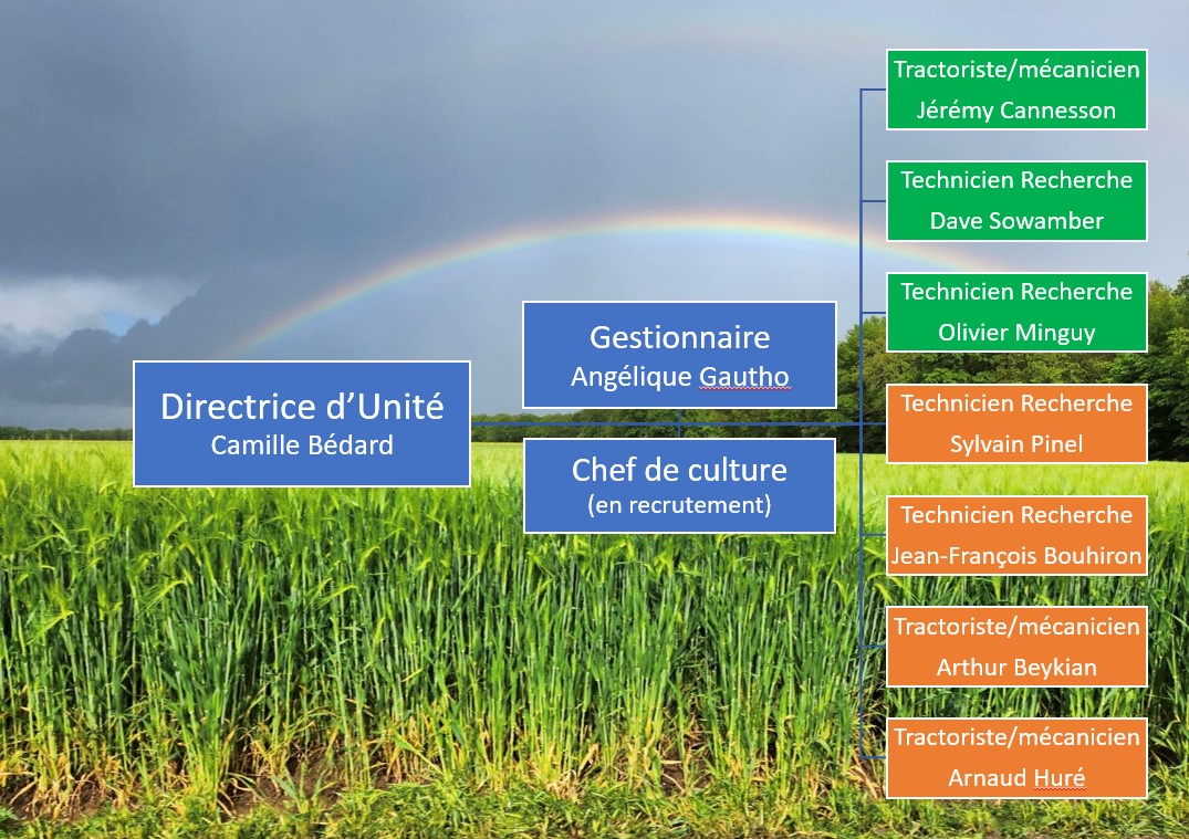 organigramme UEVS