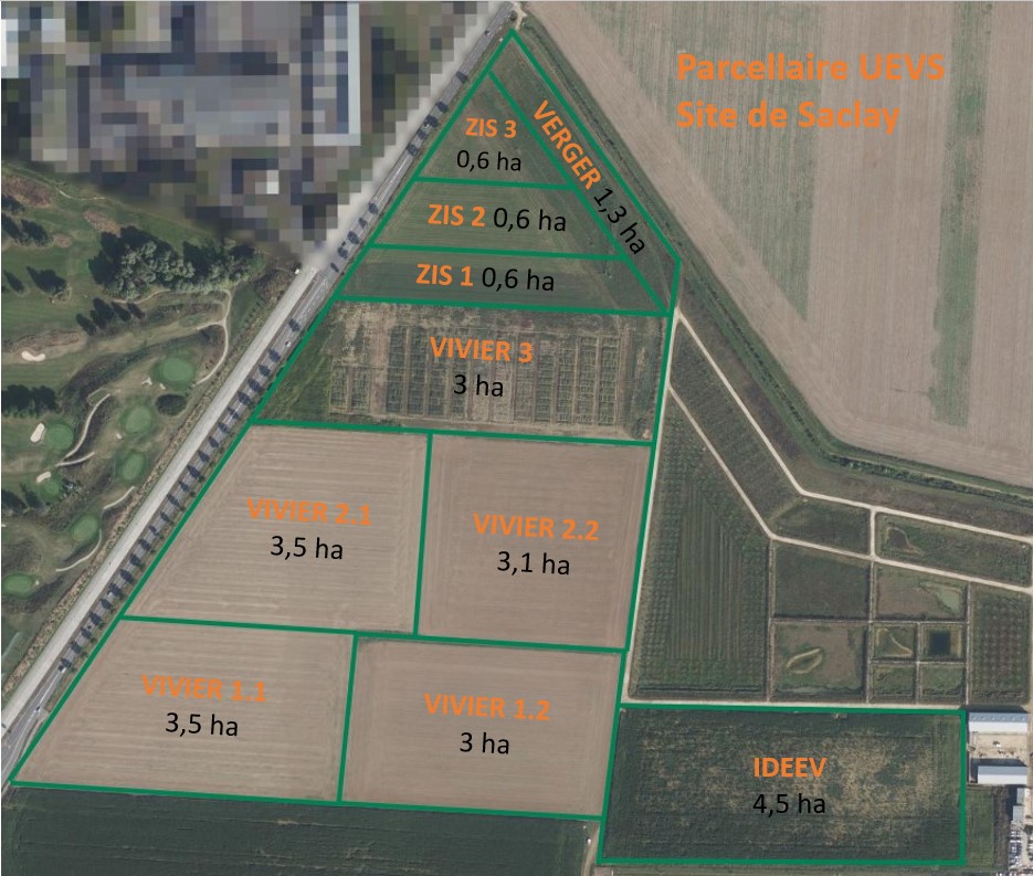 Plan parcellaire Saclay